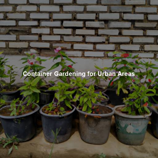 Container Gardening for Urban Areas