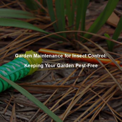 Garden Maintenance for Insect Control: Keeping Your Garden Pest-Free