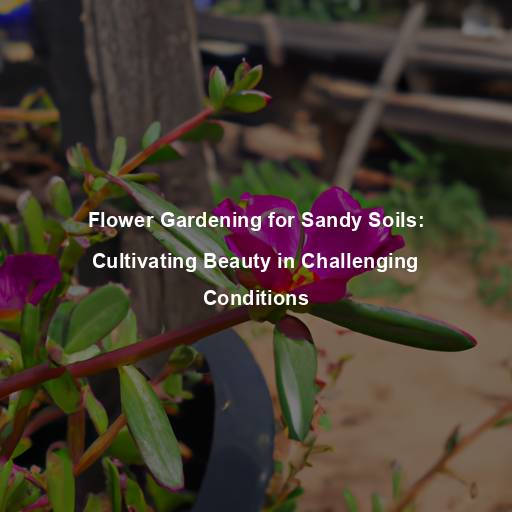 Flower Gardening for Sandy Soils: Cultivating Beauty in Challenging Conditions