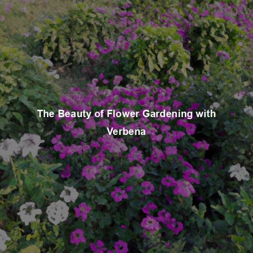 The Beauty of Flower Gardening with Verbena