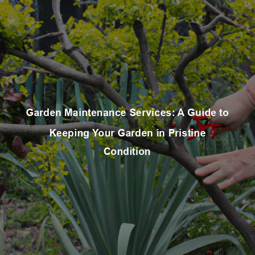 Garden Maintenance Services: A Guide to Keeping Your Garden in Pristine Condition