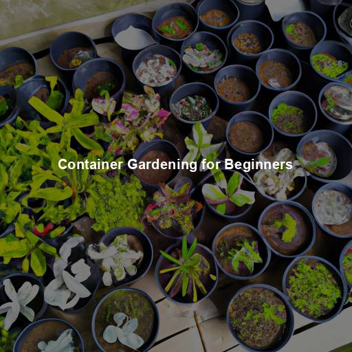 Container Gardening for Beginners