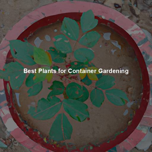 Best Plants for Container Gardening