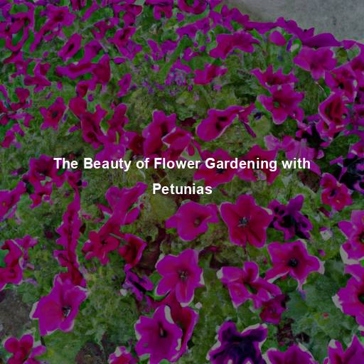The Beauty of Flower Gardening with Petunias