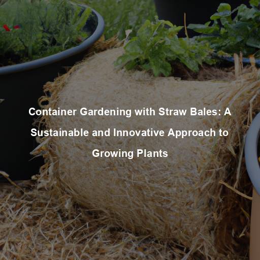 Container Gardening with Straw Bales: A Sustainable and Innovative Approach to Growing Plants