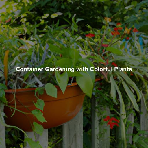 Container Gardening with Colorful Plants