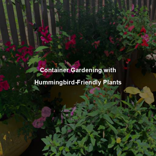 Container Gardening with Hummingbird-Friendly Plants