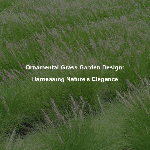 Ornamental Grass Garden Design: Harnessing Nature’s Elegance