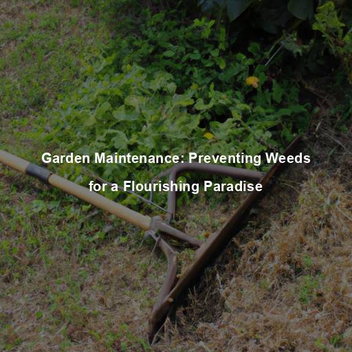 Garden Maintenance: Preventing Weeds for a Flourishing Paradise