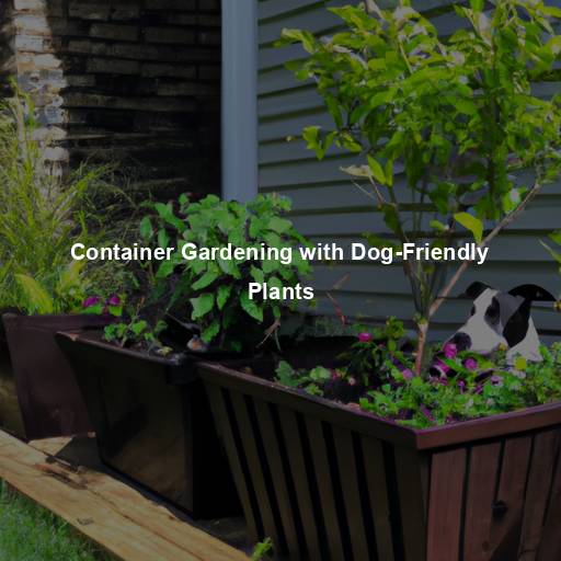 Container Gardening with Dog-Friendly Plants