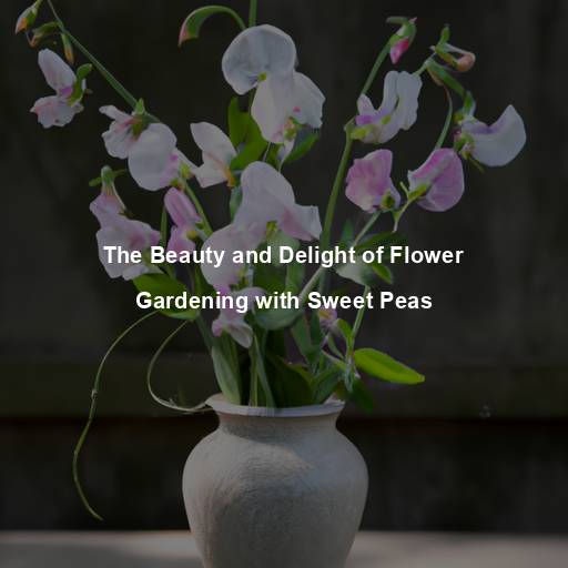 The Beauty and Delight of Flower Gardening with Sweet Peas