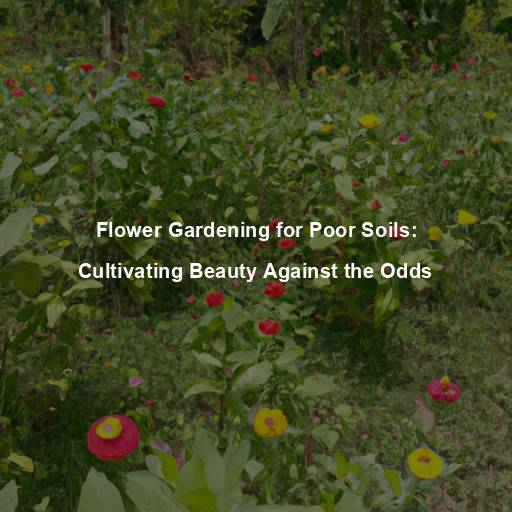 Flower Gardening for Poor Soils: Cultivating Beauty Against the Odds