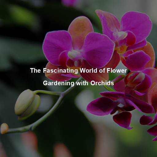 The Fascinating World of Flower Gardening with Orchids