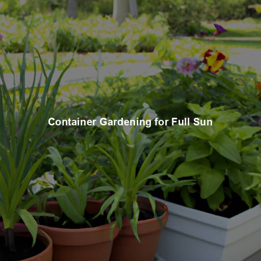 Container Gardening for Full Sun
