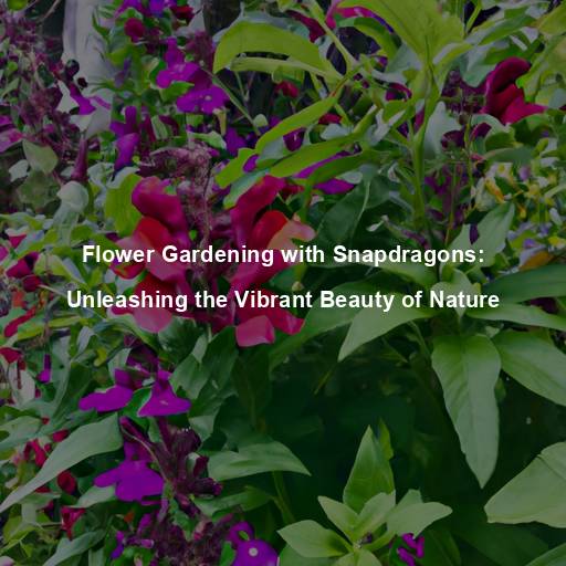 Flower Gardening with Snapdragons: Unleashing the Vibrant Beauty of Nature