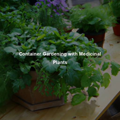 Container Gardening with Medicinal Plants