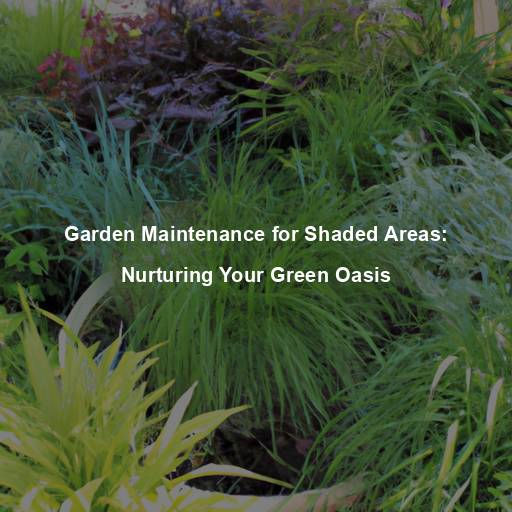 Garden Maintenance for Shaded Areas: Nurturing Your Green Oasis