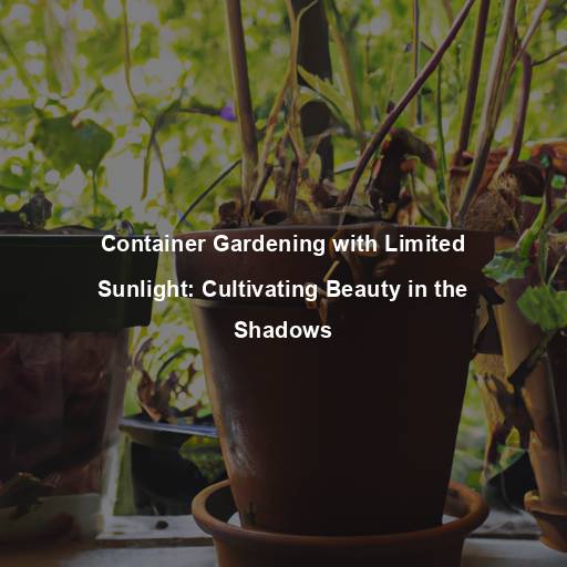 Container Gardening with Limited Sunlight: Cultivating Beauty in the Shadows