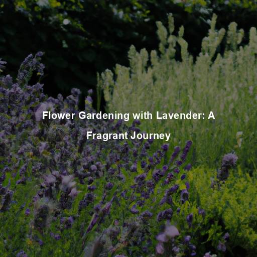 Flower Gardening with Lavender: A Fragrant Journey