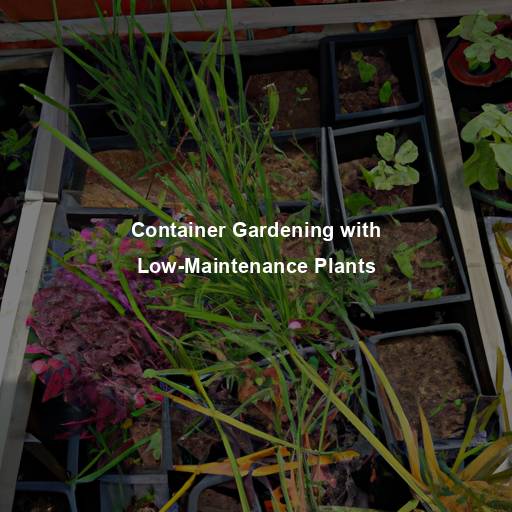 Container Gardening with Low-Maintenance Plants