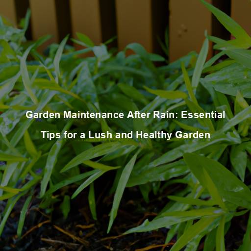 Garden Maintenance After Rain: Essential Tips for a Lush and Healthy Garden