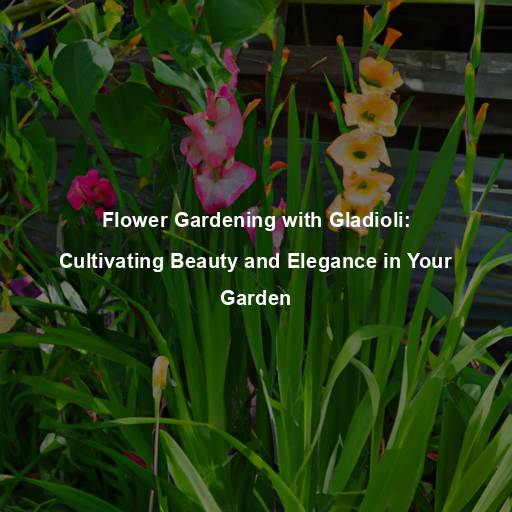 Flower Gardening with Gladioli: Cultivating Beauty and Elegance in Your Garden
