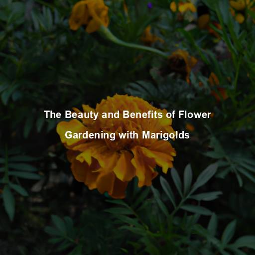 The Beauty and Benefits of Flower Gardening with Marigolds