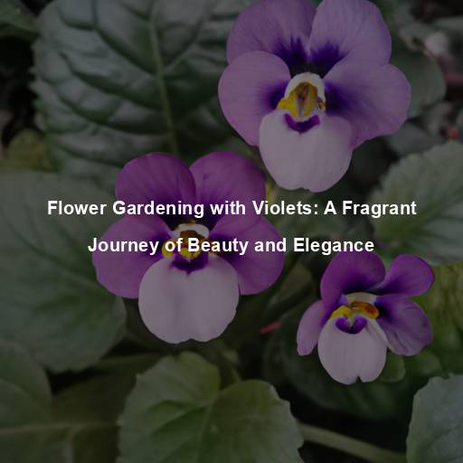 Flower Gardening with Violets: A Fragrant Journey of Beauty and Elegance