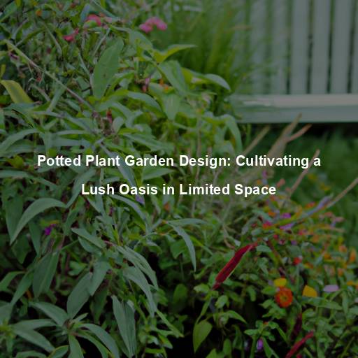 Potted Plant Garden Design: Cultivating a Lush Oasis in Limited Space