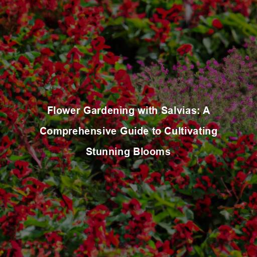 Flower Gardening with Salvias: A Comprehensive Guide to Cultivating Stunning Blooms