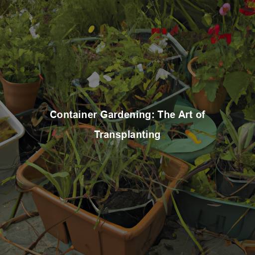 Container Gardening: The Art of Transplanting
