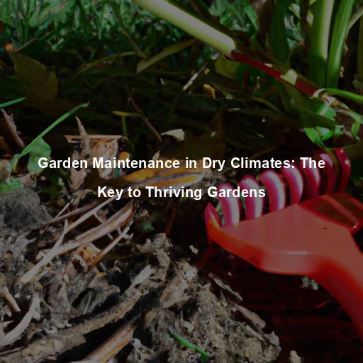 Garden Maintenance in Dry Climates: The Key to Thriving Gardens
