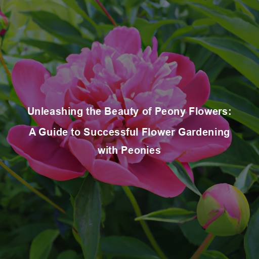 Unleashing the Beauty of Peony Flowers: A Guide to Successful Flower Gardening with Peonies