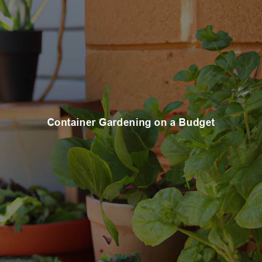 Container Gardening on a Budget