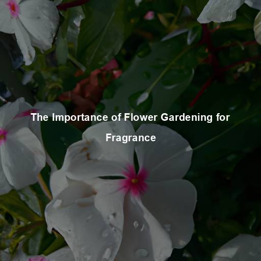 The Importance of Flower Gardening for Fragrance