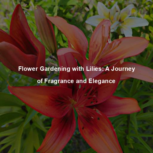 Flower Gardening with Lilies: A Journey of Fragrance and Elegance