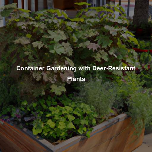 Container Gardening with Deer-Resistant Plants