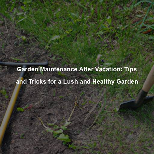 Garden Maintenance After Vacation: Tips and Tricks for a Lush and Healthy Garden