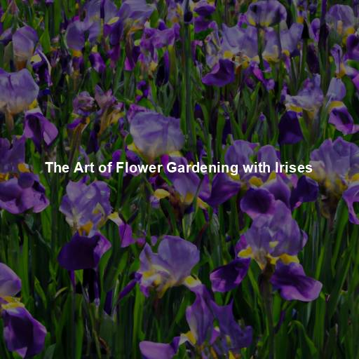 The Art of Flower Gardening with Irises