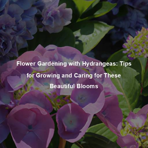 Flower Gardening with Hydrangeas: Tips for Growing and Caring for These Beautiful Blooms